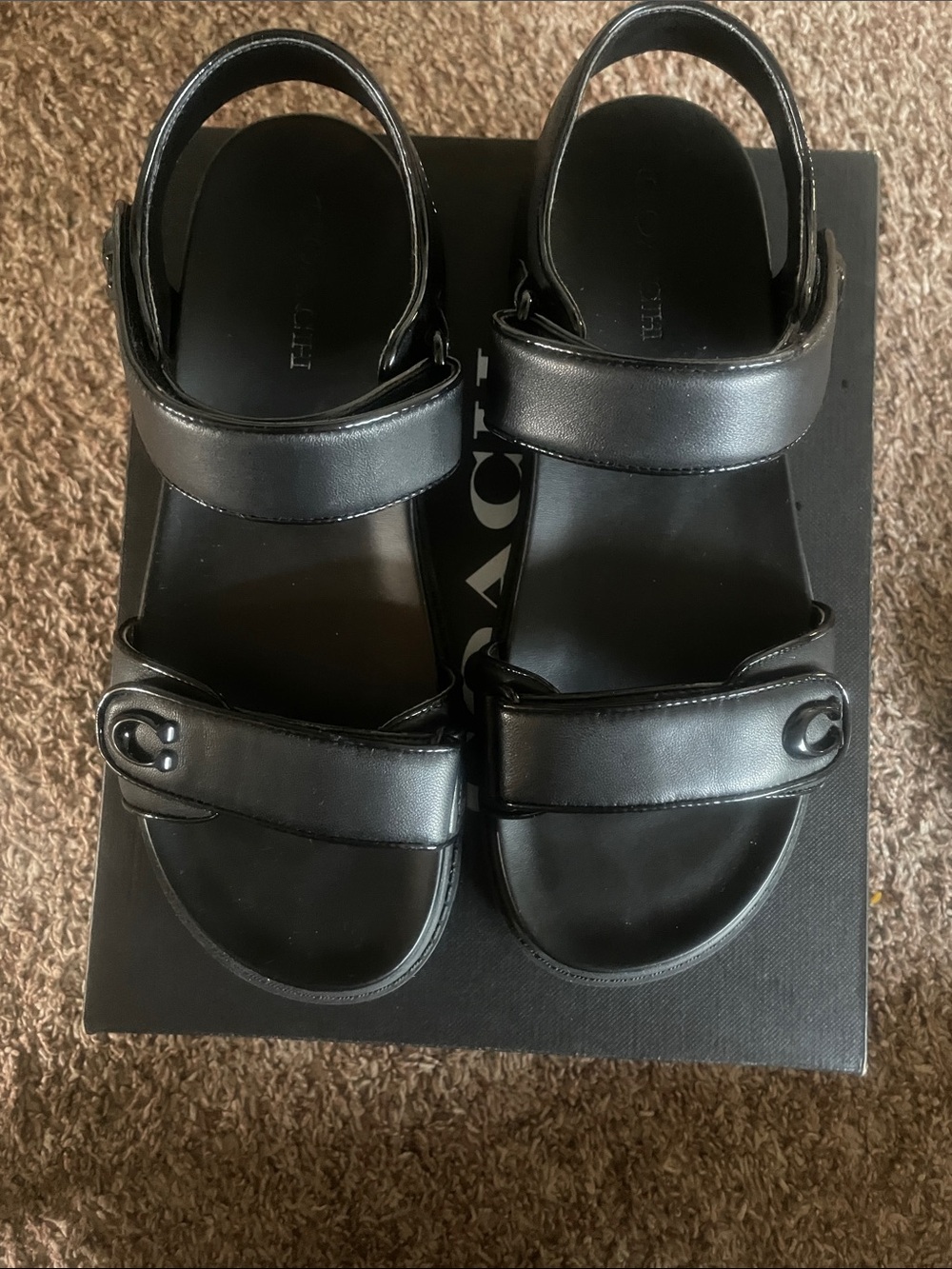 Super cute Coach Black Brynn Sandals with Double Straps